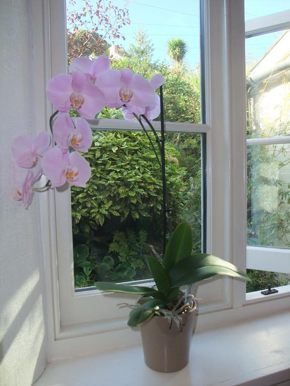 The Fernery B&B Lynton Camera foto